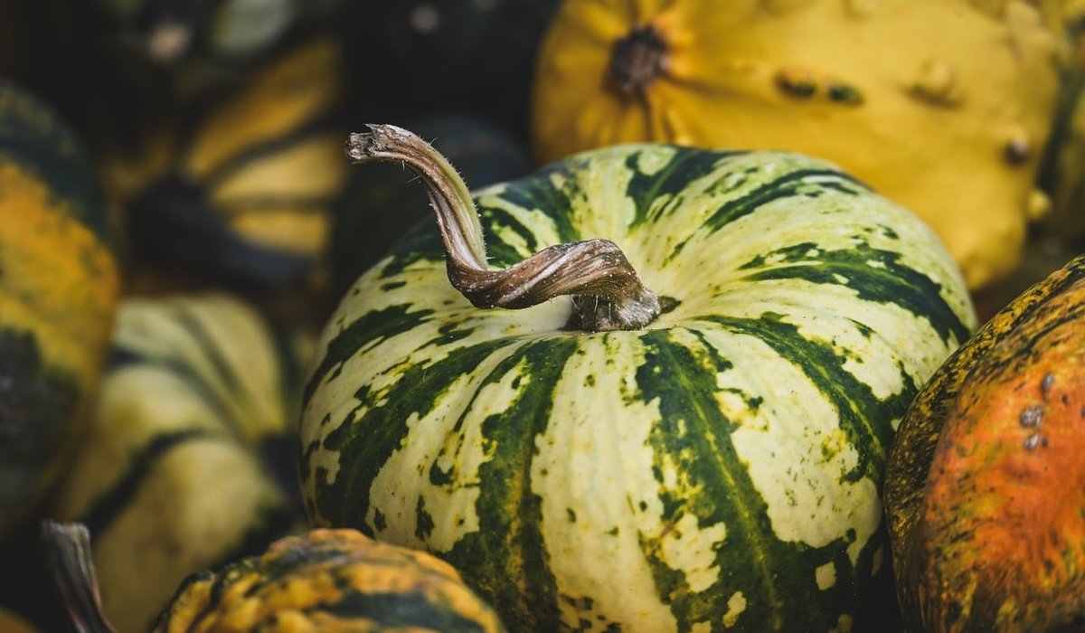 What Makes a Great Neighbourhood Restaurant Experience